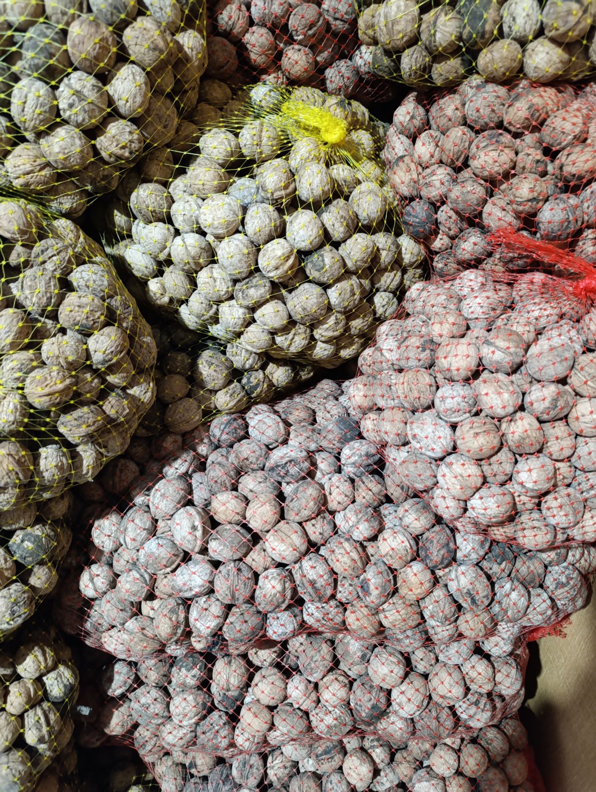 300کیلو گردوی اعلای تویسرکان 